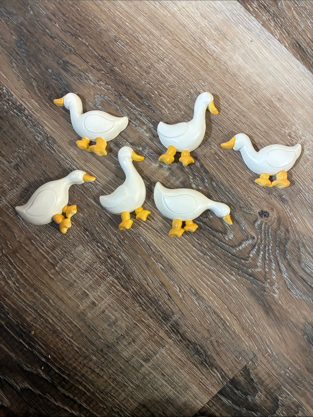 6 plastic duck wall plaques